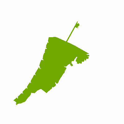 Export Image